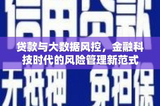 阳新贷款与大数据风控，金融科技时代的风险管理新范式