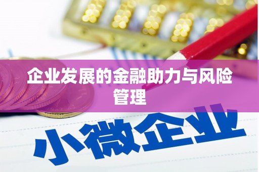 阳新企业发展的金融助力与风险管理