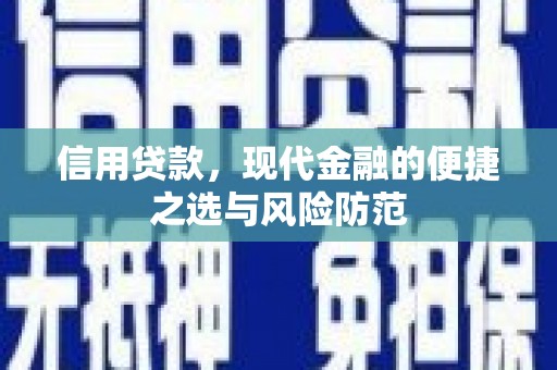 阳新信用贷款，现代金融的便捷之选与风险防范