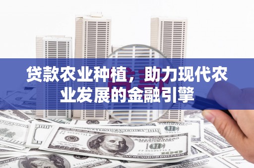 阳新贷款农业种植，助力现代农业发展的金融引擎