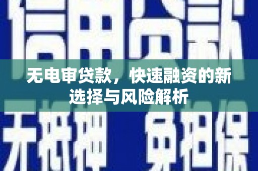 阳新无电审贷款，快速融资的新选择与风险解析