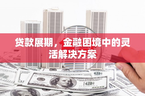 阳新贷款展期，金融困境中的灵活解决方案