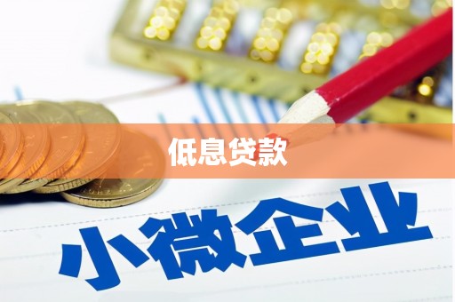 阳新低息贷款