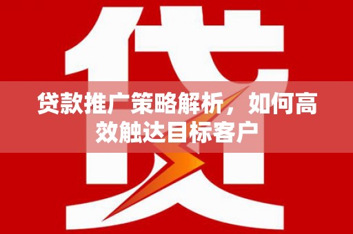 阳新贷款推广策略解析，如何高效触达目标客户