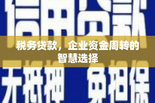 阳新税务贷款，企业资金周转的智慧选择