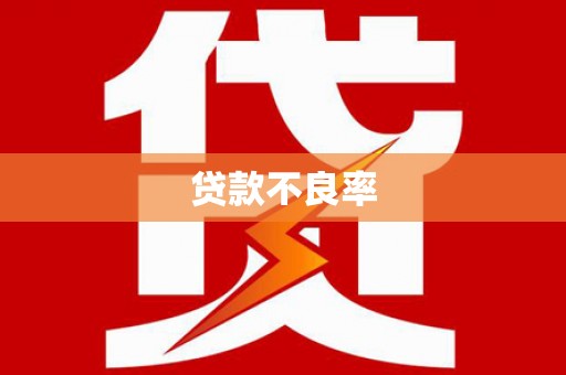 阳新贷款不良率