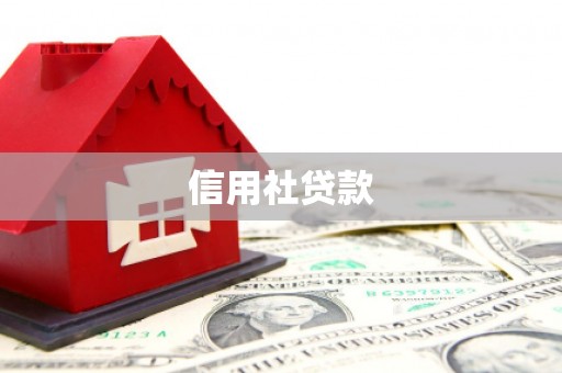 阳新信用社贷款