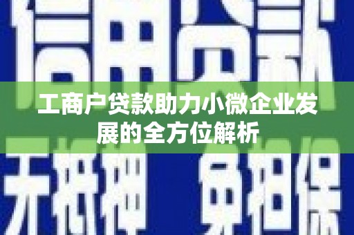 阳新工商户贷款助力小微企业发展的全方位解析