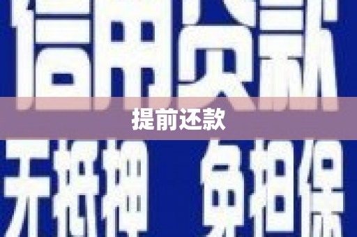 阳新提前还款
