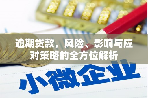阳新逾期贷款，风险、影响与应对策略的全方位解析