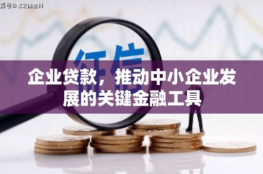 阳新企业贷款，推动中小企业发展的关键金融工具