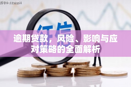 阳新逾期贷款，风险、影响与应对策略的全面解析