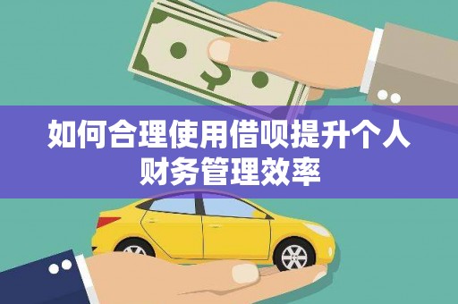 阳新如何合理使用借呗提升个人财务管理效率