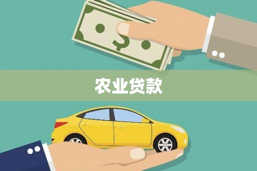 阳新农业贷款