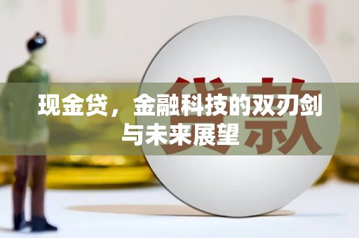 阳新现金贷，金融科技的双刃剑与未来展望