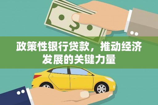 阳新政策性银行贷款，推动经济发展的关键力量