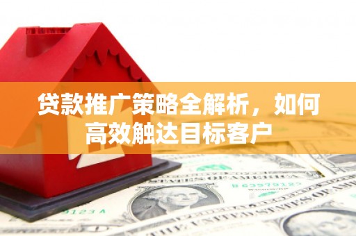 阳新贷款推广策略全解析，如何高效触达目标客户