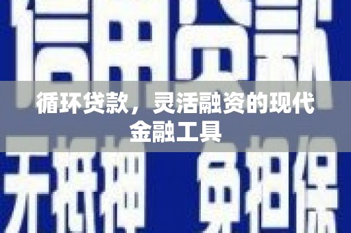 阳新循环贷款，灵活融资的现代金融工具