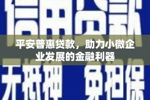 阳新平安普惠贷款，助力小微企业发展的金融利器