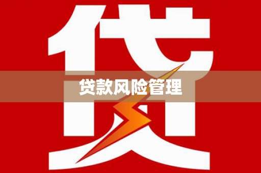 阳新贷款风险管理