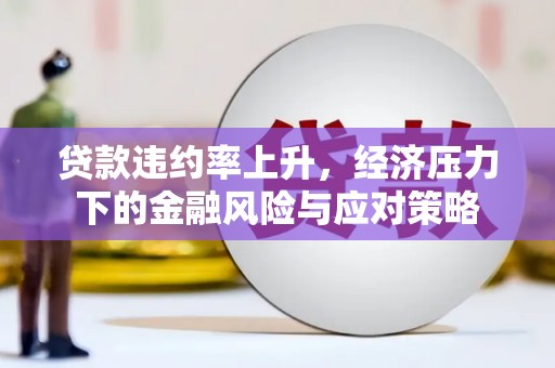 阳新贷款违约率上升，经济压力下的金融风险与应对策略