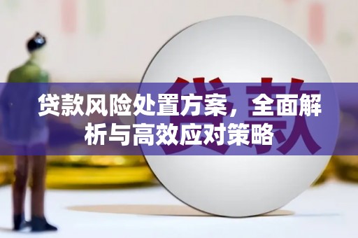 阳新贷款风险处置方案，全面解析与高效应对策略