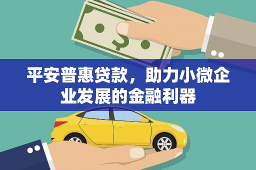 阳新平安普惠贷款，助力小微企业发展的金融利器