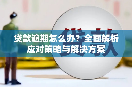 阳新贷款逾期怎么办？全面解析应对策略与解决方案