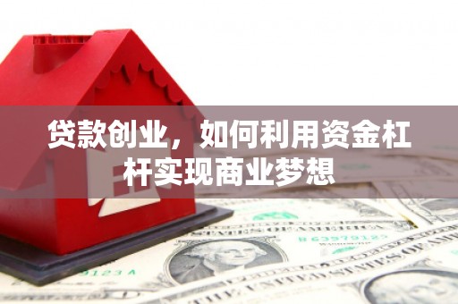 阳新贷款创业，如何利用资金杠杆实现商业梦想
