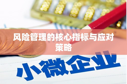 阳新风险管理的核心指标与应对策略