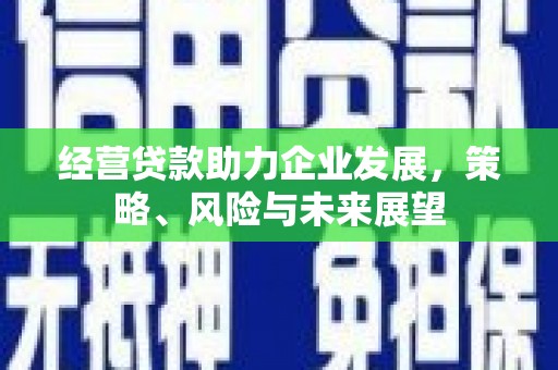 阳新经营贷款助力企业发展，策略、风险与未来展望