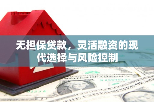 阳新无担保贷款，灵活融资的现代选择与风险控制