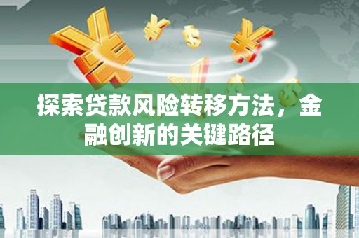 阳新探索贷款风险转移方法，金融创新的关键路径