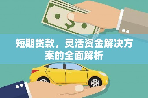 阳新短期贷款，灵活资金解决方案的全面解析