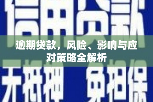 阳新逾期贷款，风险、影响与应对策略全解析