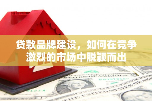 阳新贷款品牌建设，如何在竞争激烈的市场中脱颖而出