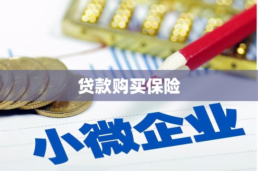 阳新贷款购买保险