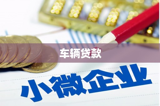 阳新车辆贷款