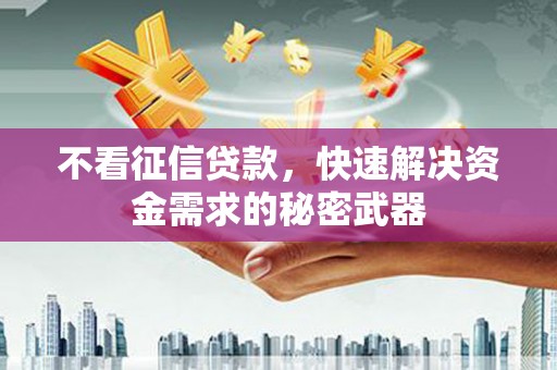 阳新不看征信贷款，快速解决资金需求的秘密武器