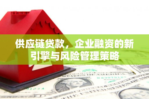 阳新供应链贷款，企业融资的新引擎与风险管理策略