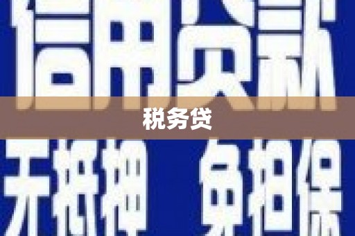 阳新税务贷