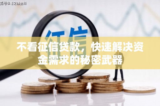 阳新不看征信贷款，快速解决资金需求的秘密武器