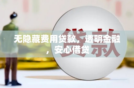 阳新无隐藏费用贷款，透明金融，安心借贷