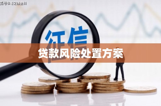 阳新贷款风险处置方案