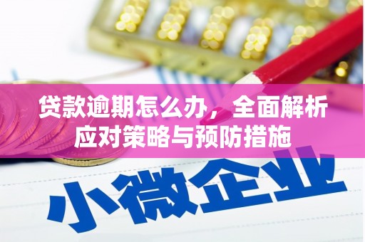阳新贷款逾期怎么办，全面解析应对策略与预防措施