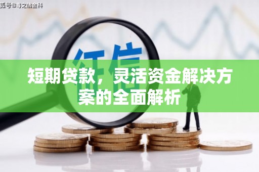 阳新短期贷款，灵活资金解决方案的全面解析