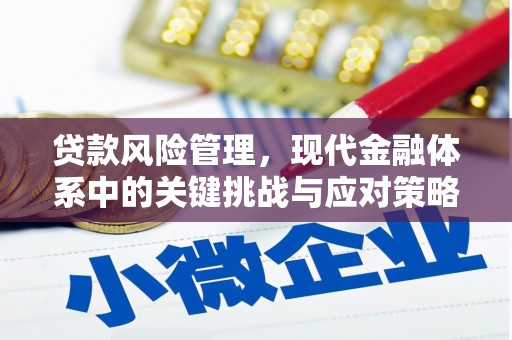 阳新贷款风险管理，现代金融体系中的关键挑战与应对策略