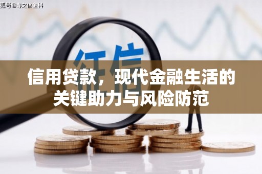阳新信用贷款，现代金融生活的关键助力与风险防范