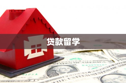 阳新贷款留学