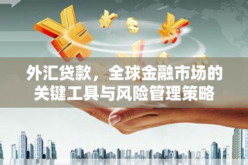 阳新外汇贷款，全球金融市场的关键工具与风险管理策略